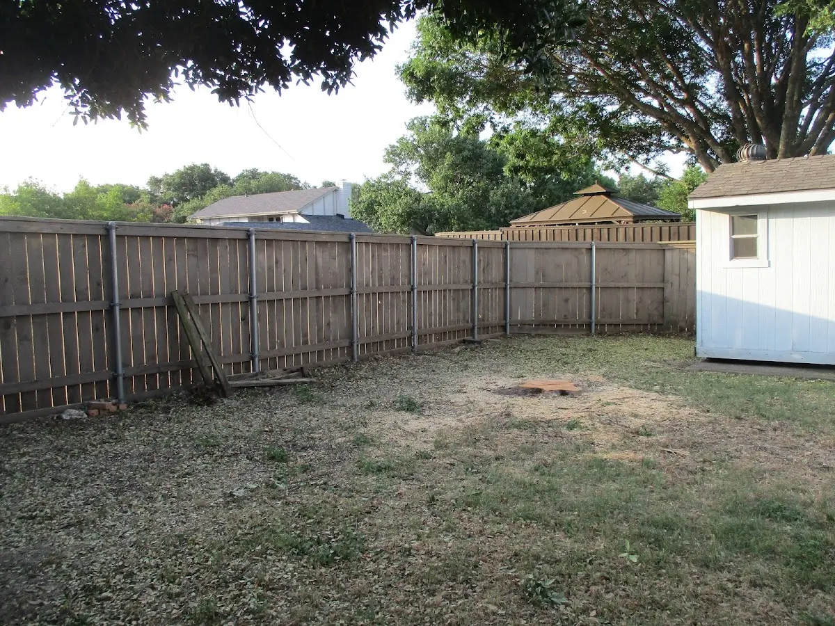 Cleared yard after professional tree removal in West Hurley